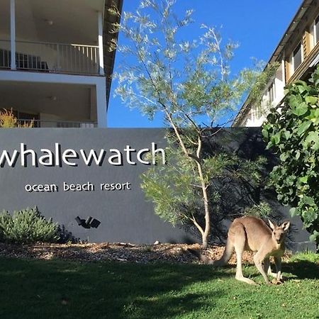 Whale Watch Ocean Beach Resort Point Lookout Exteriör bild