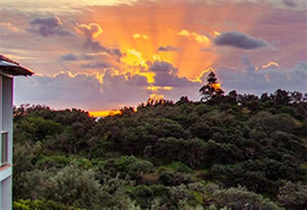 Whale Watch Ocean Beach Resort Point Lookout Exteriör bild