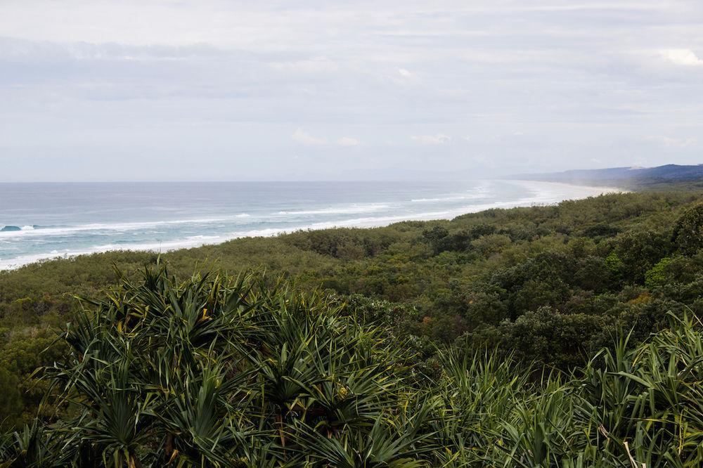 Whale Watch Ocean Beach Resort Point Lookout Exteriör bild